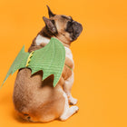 Fashion-forward dog accessory styling - CXC Pet pet jewellery editorial